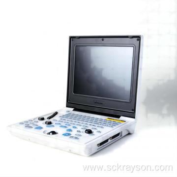 Siamese cat mammary ultrasound diagnosis equipment